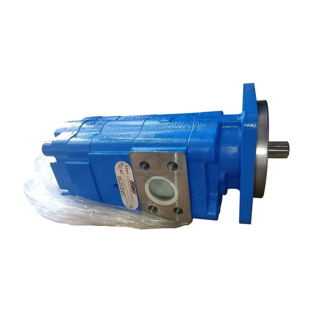 XCMG 803004213 Double Pump XS142