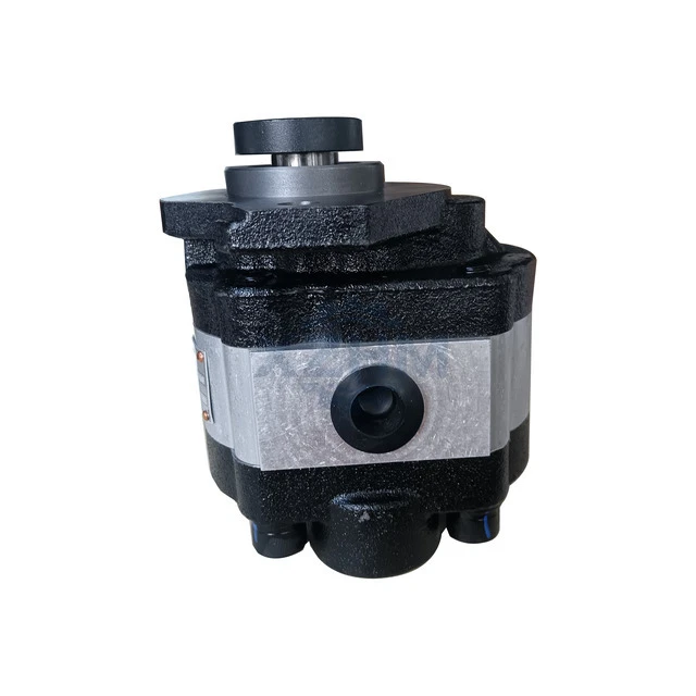 XCMG 803086849 Gear Pump XS223
