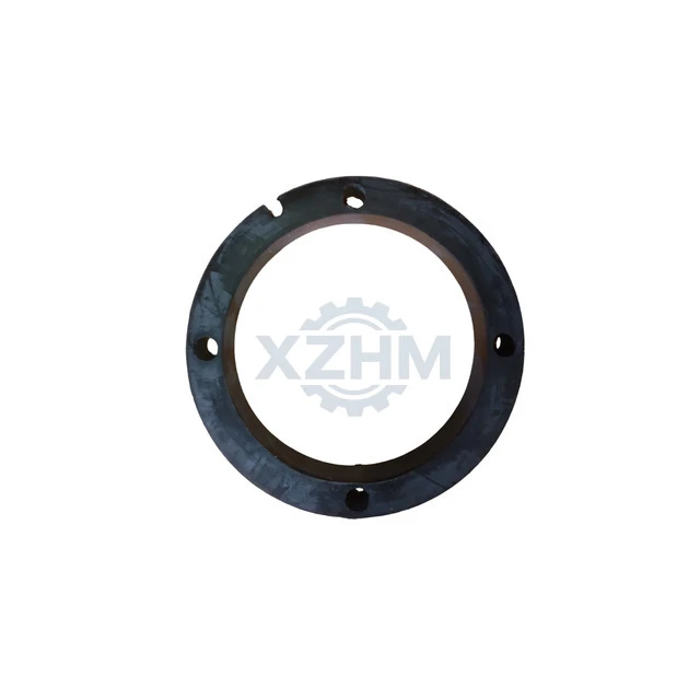 XCMG 252911534 Sealing Ring LW300
